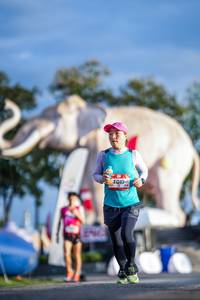 BIB: 
                            <button type="button" onclick="openModal(26541332)" class="btn btn-primary btn-sm float-right btn-popup" data-toggle="modal" data-target=".modal-high-quality">
                        <i class="fas fa-shopping-cart"></i> Add to Cart
                    </button>
                                            <button type="button" onclick="isThisMe(26541332, true)" class="btn btn-success btn-sm float-right btn-popup btn-isme hidden" data-toggle="tooltip" data-placement="bottom" title="นี่คือรูปของคุณใช่ไหม คลิกที่นี่เพื่อเอาเข้าอัลบั้ม">
                        <i class="fas fa-plus"></i> Add to album
                    </button>
                    <button type="button" onclick="isThisMe(26541332, false)" class="btn btn-warning btn-sm float-right btn-popup btn-isnotme hidden">
                        <i class="fas fa-ban"></i> Remove from album
                    </button>